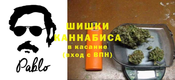 spice Лиски