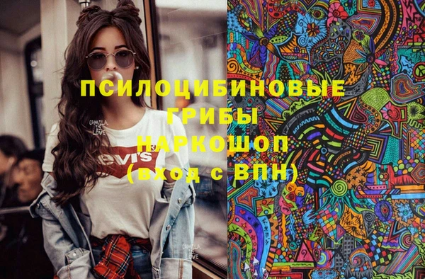 винт Липки
