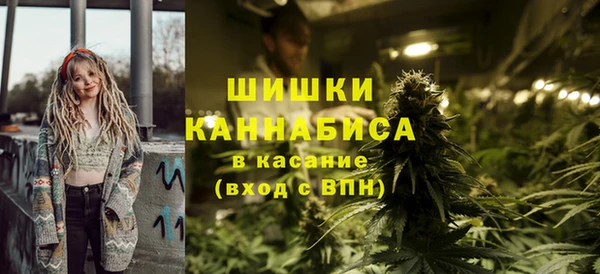винт Липки
