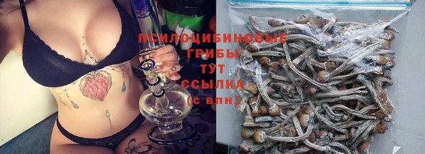 spice Лиски