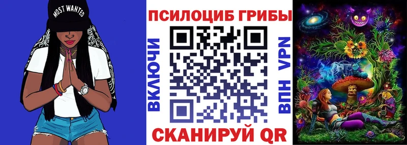 что такое   Нижневартовск  Галлюциногенные грибы мицелий 